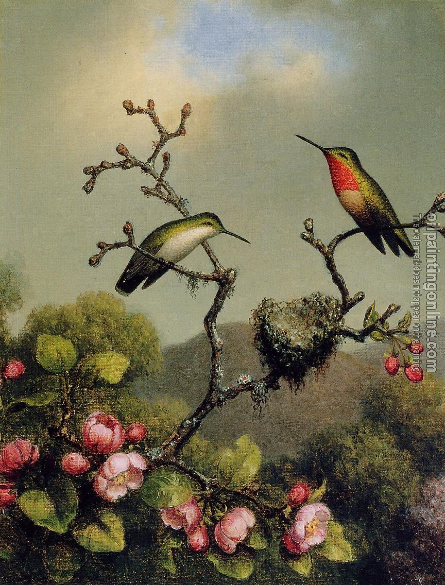 Heade, Martin Johnson - Ruby Throat of North America